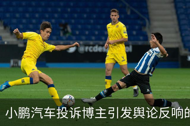 小鹏汽车投诉博主引发舆论反响的分析